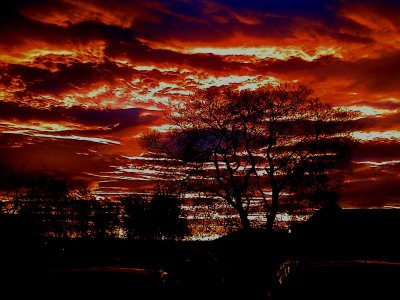 Sun Rise