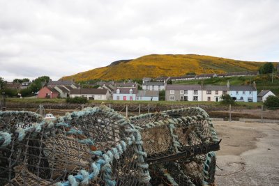 Helmsdale Harbour