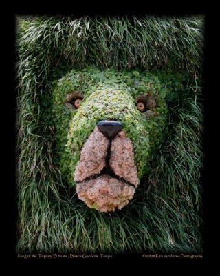 Lion Topiary.jpg