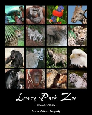 Lowry Park Zoo Collage1.jpg