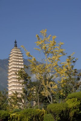 Yunnan-296.jpg