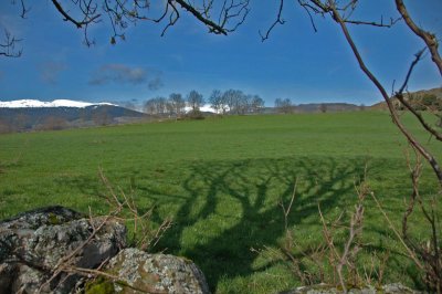 Cantal-005.jpg