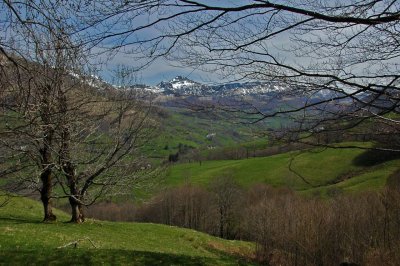 Cantal-015.jpg