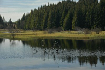 Cantal-021.jpg