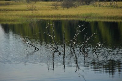 Cantal-025.jpg