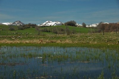 Cantal-027.jpg