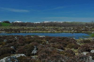 Cantal-030.jpg