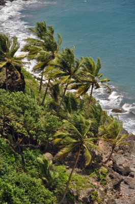 Martinique-040.jpg