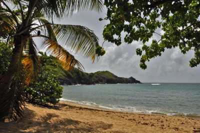 Martinique-059.jpg