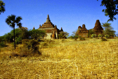 Birmanie-116.jpg