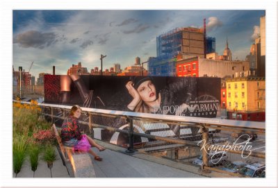 Highline NYC Bench View