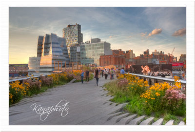 Highline NYC Walk View
