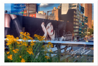 Highline NYC Billboard in HDR