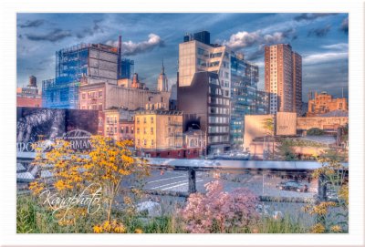 Highline NYC Buildings in HDR