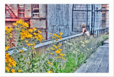 Highline NYC Tenement View