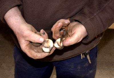 jflavin_spud-problem-Canon_08278.jpg
