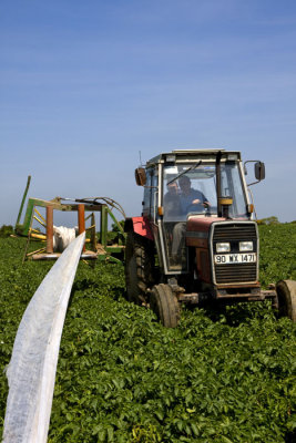 removing fleece from furrows