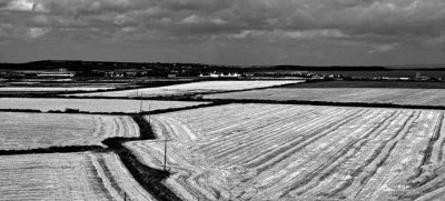 harvested corn fields .jpg