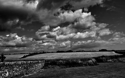 corn field and clouds .jpg