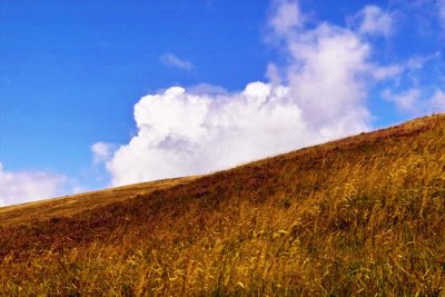 hill and clouds 2.jpg