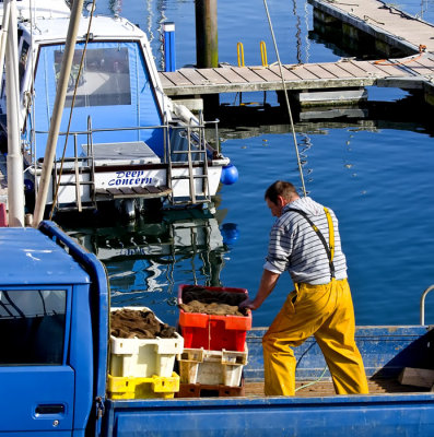 fisherman .jpg