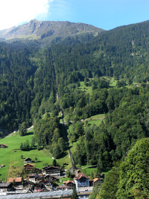 forest trail lauterbrunnen .jpg