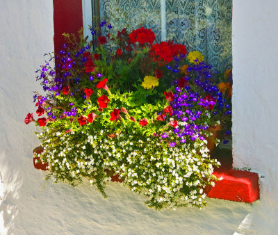 window box .jpg
