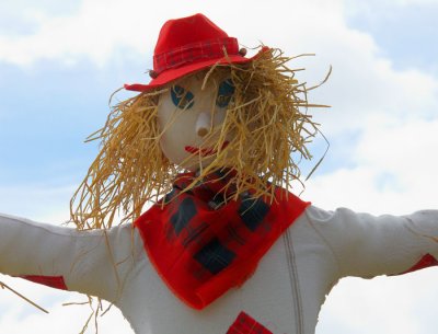 scarecrow 2.jpg