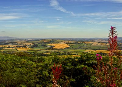 view of  south wexford