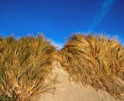 sand dunes 3.jpg