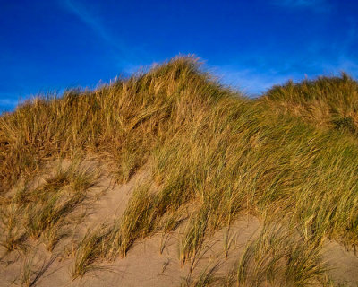 sand dunes 2.jpg