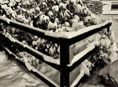 snow on fence .jpg