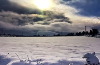 field of snow 2.jpg