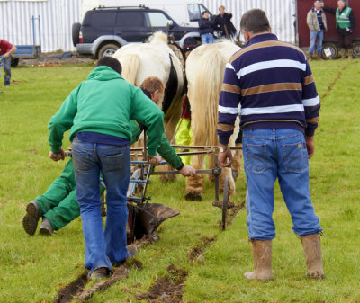 horse ploughing 1.jpg