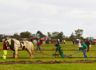 horses ploughing 4.jpg