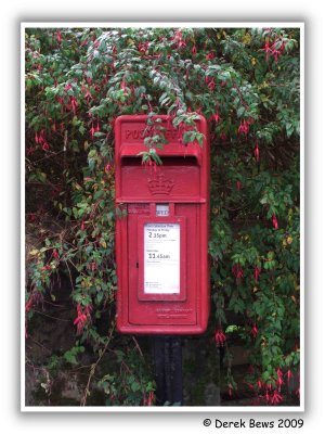 Fuchsia Mail Box