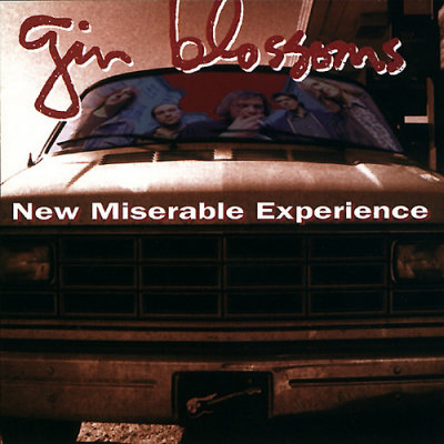 'New Miserable Experience' - Gin Blossoms