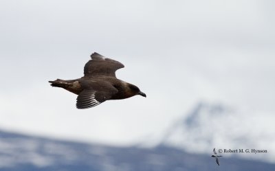 _MG_0304-2-116.jpg