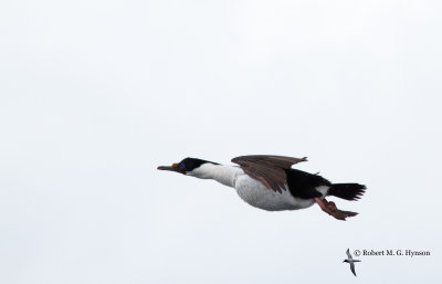 _MG_0358-2-148.jpg