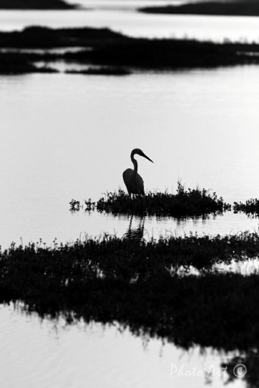 IMG_1396.jpg