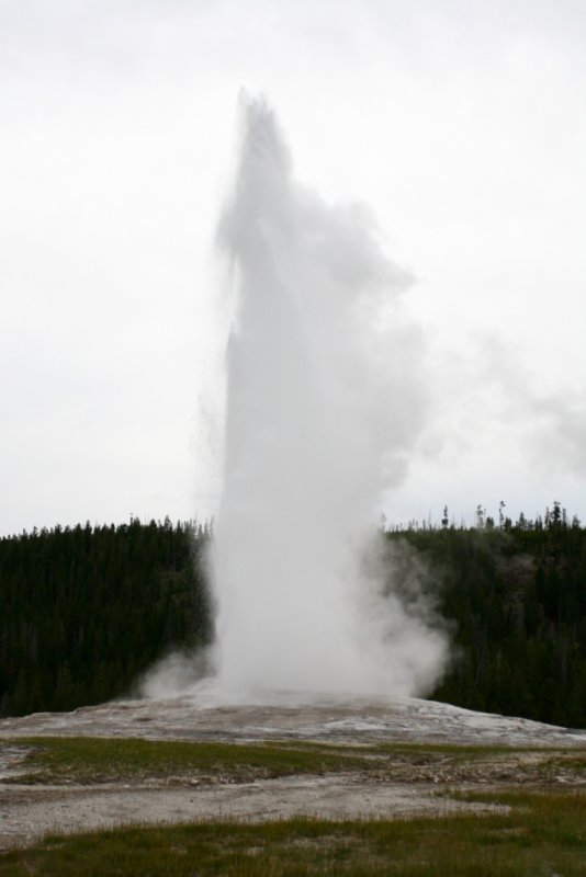 IMG_3611.JPG
