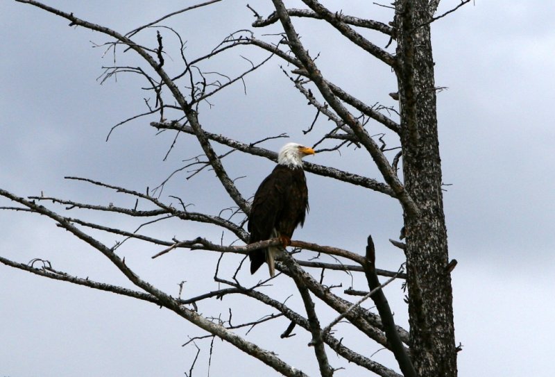 IMG_3651.JPG
