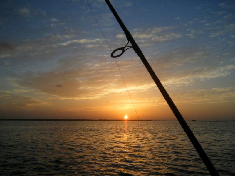 DSCF0525.jpg