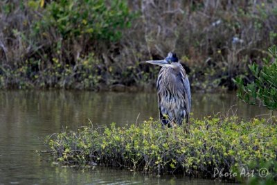IMG_2910.JPG
