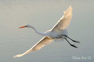 IMG_2960.JPG