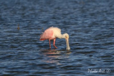 IMG_3064.JPG