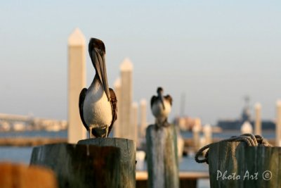 IMG_3196.JPG