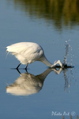 IMG_3311.JPG