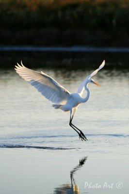 IMG_4040.JPG