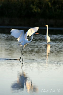 IMG_4048.jpg
